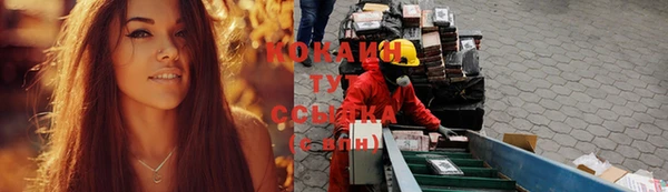 соль ск Богородицк
