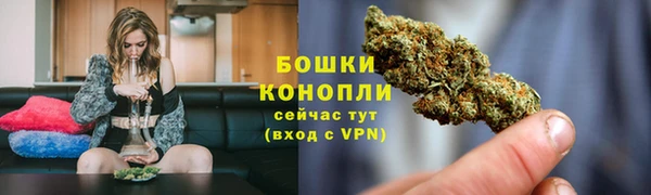 гидропоника Богданович